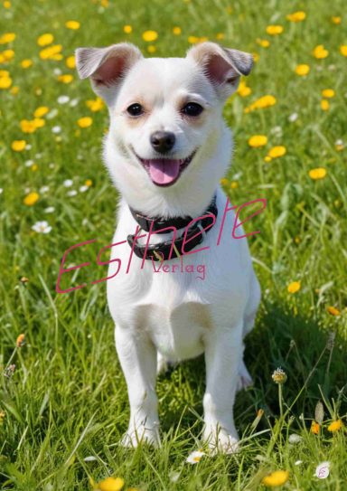 Mein Hund